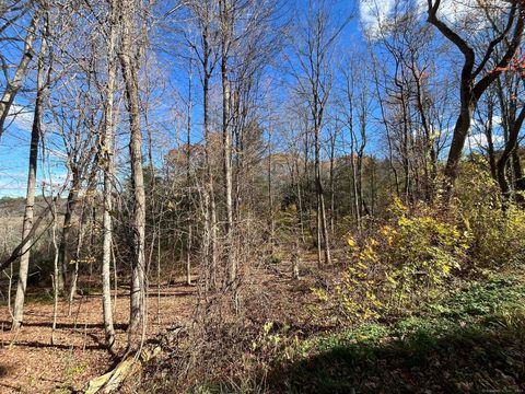 Tiny photo for 18 Niles Road, New Hartford, CT 06057 (MLS # 24136308)