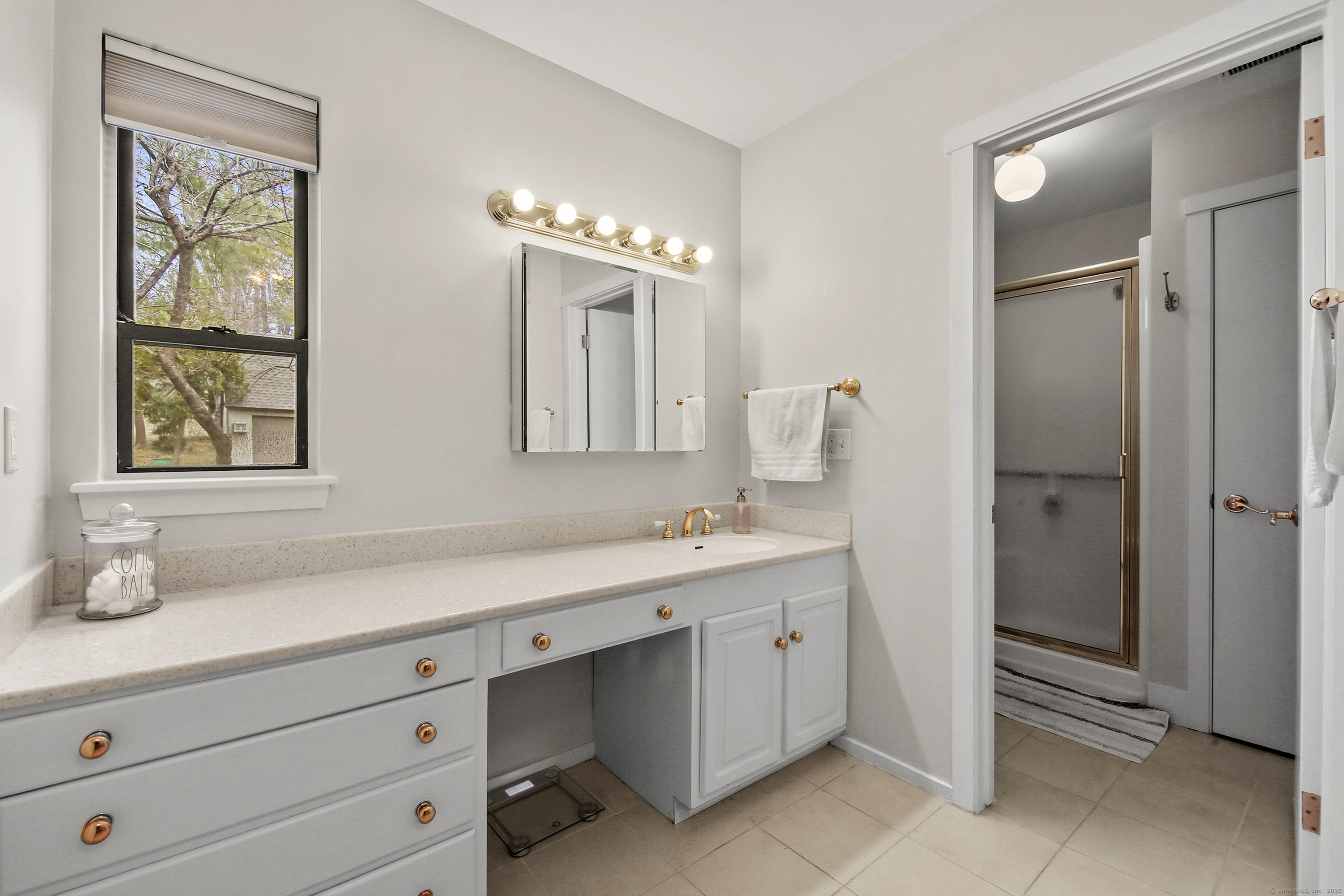 8 Byron Drive #8, Avon, Connecticut image 20