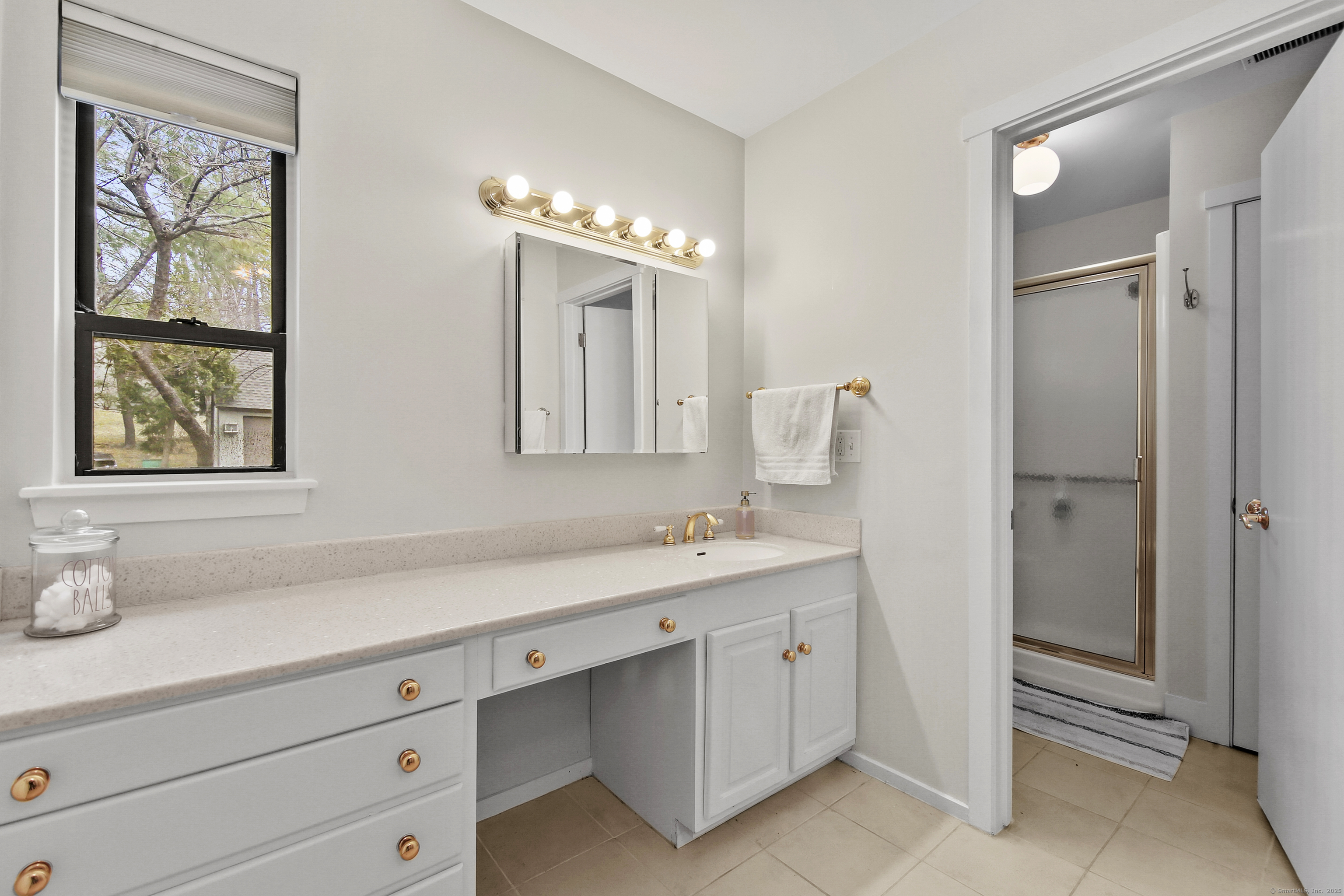 8 Byron Drive #8, Avon, Connecticut image 21