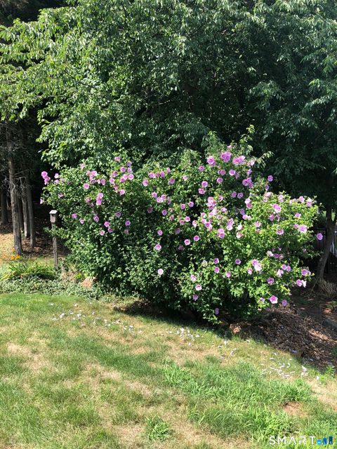 Tiny photo for 4 N Ridge Drive, Cromwell, CT 06416 (MLS # 24153576)