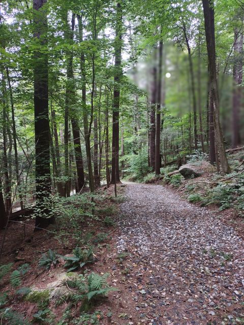 Railroad Street Cornwall CT 06753