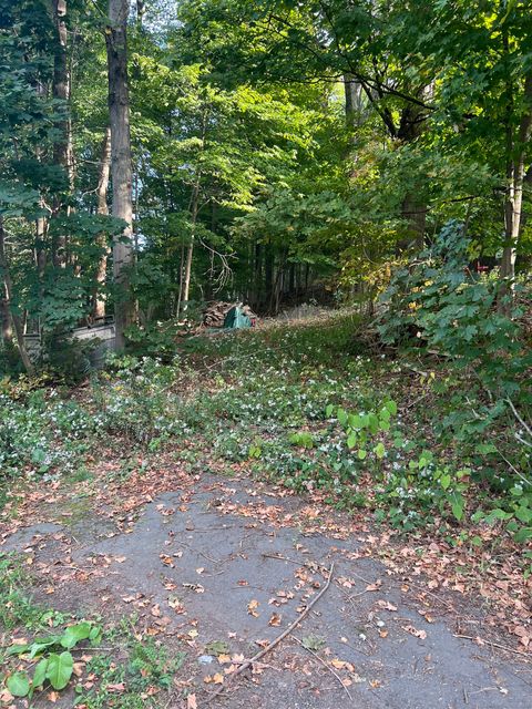 Tiny photo for 1 Hickory Street, Bristol, CT 06010 (MLS # 24127176)