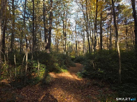 Photo of 50 Burlingame Road, Killingly, CT 06239 (MLS # 24214773)