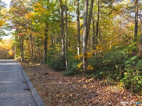 Tiny photo for 50 Burlingame Road, Killingly, CT 06239 (MLS # 24214773)