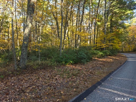Tiny photo for 50 Burlingame Road, Killingly, CT 06239 (MLS # 24214773)