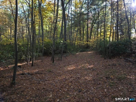 Tiny photo for 50 Burlingame Road, Killingly, CT 06239 (MLS # 24214773)