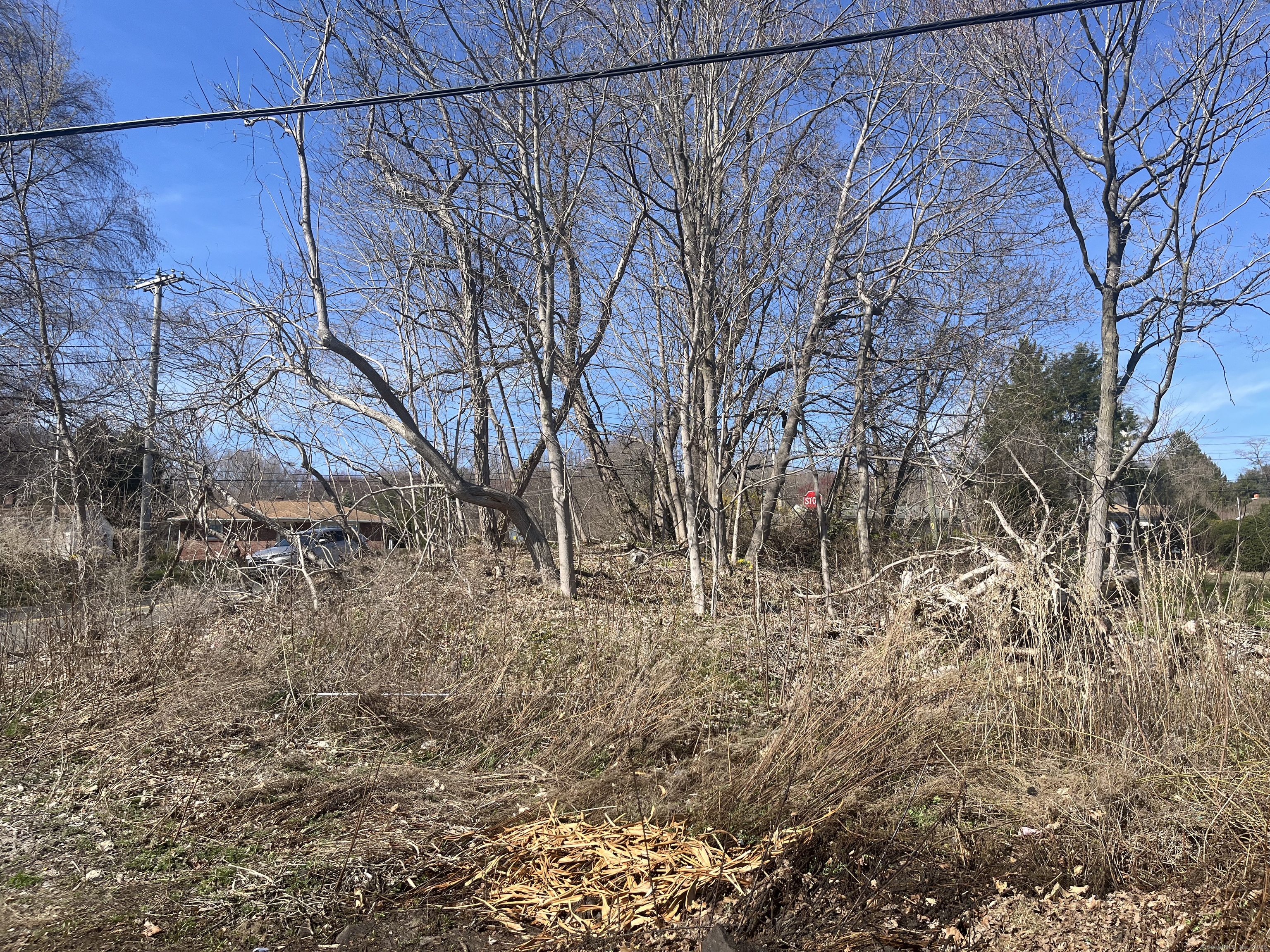 Perkins Avenue, Waterbury, Connecticut image 4