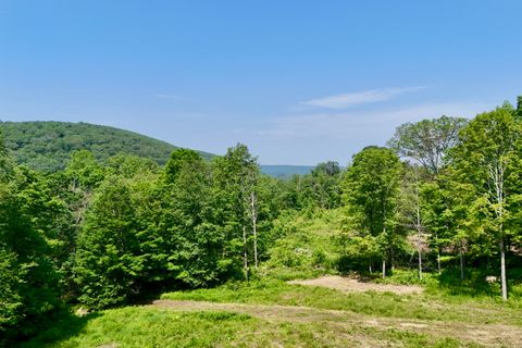 178 Carter Road Kent CT 06754