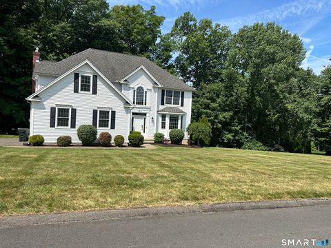 Photo of 173 Wynding Brook Drive, Rocky Hill, CT 06067 (MLS # 24186189)