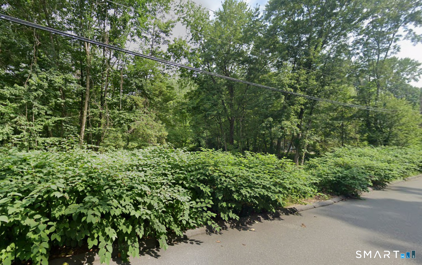 14 West Woodland Drive