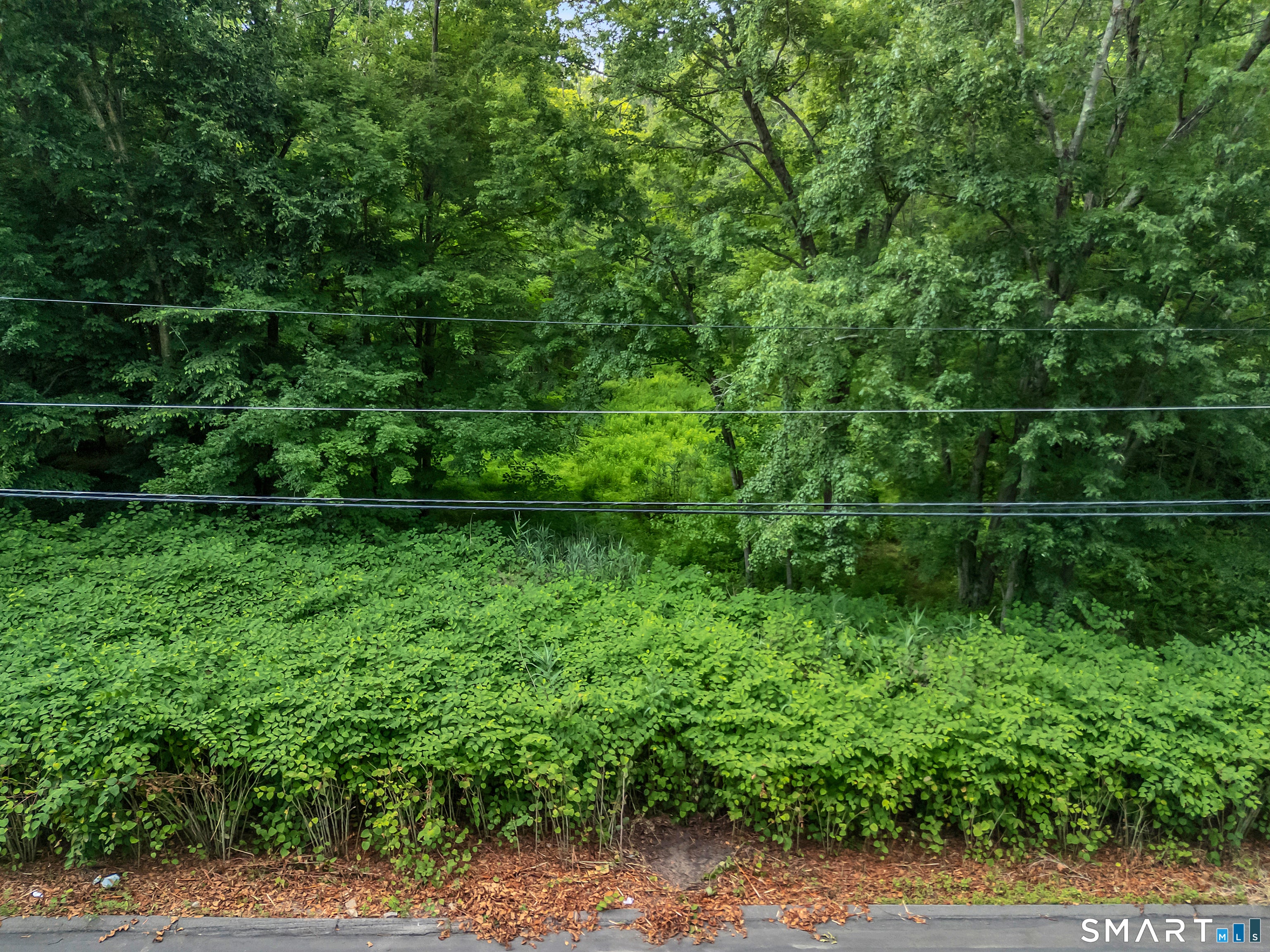 14 West Woodland Drive