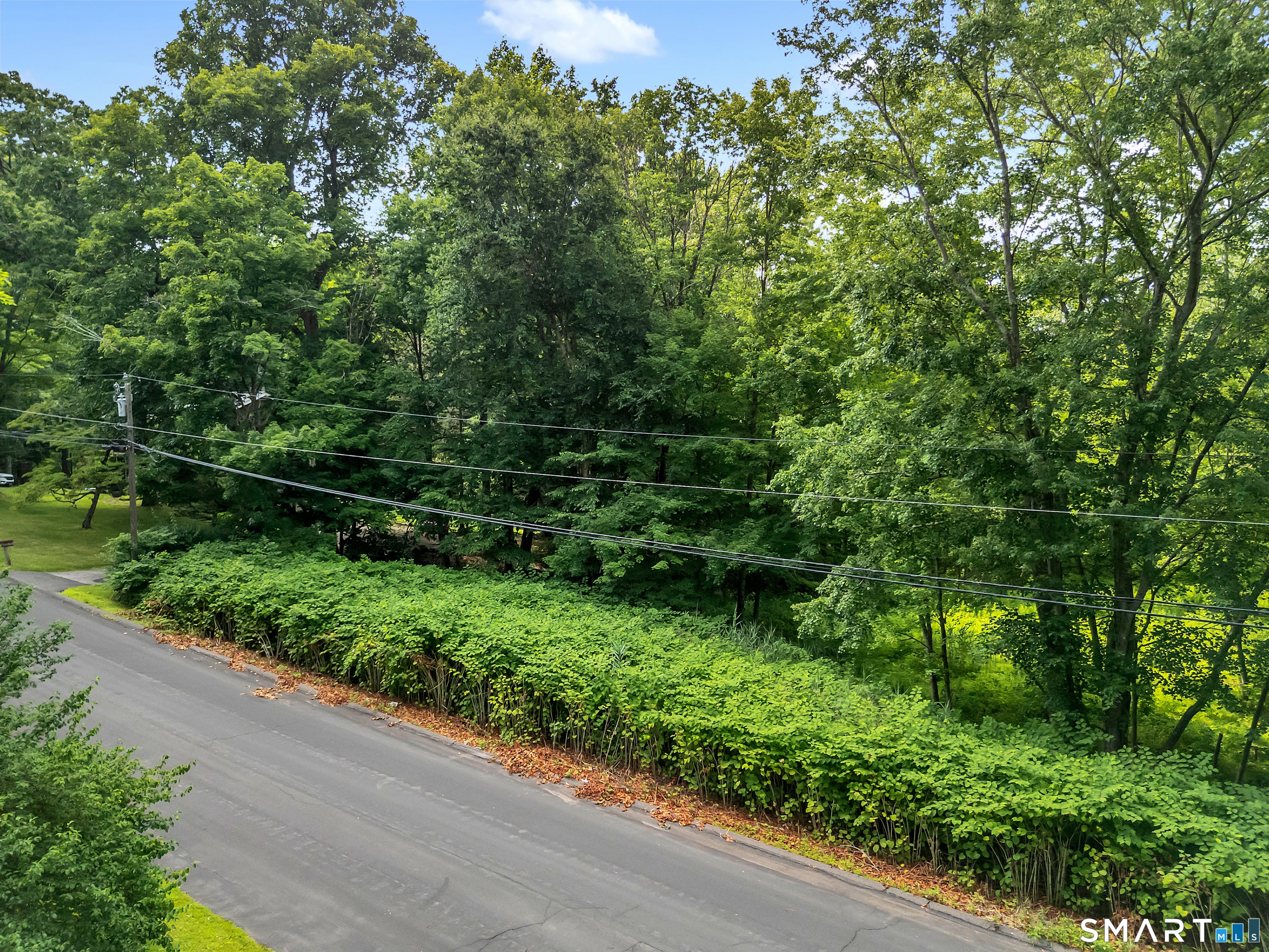 14 West Woodland Drive