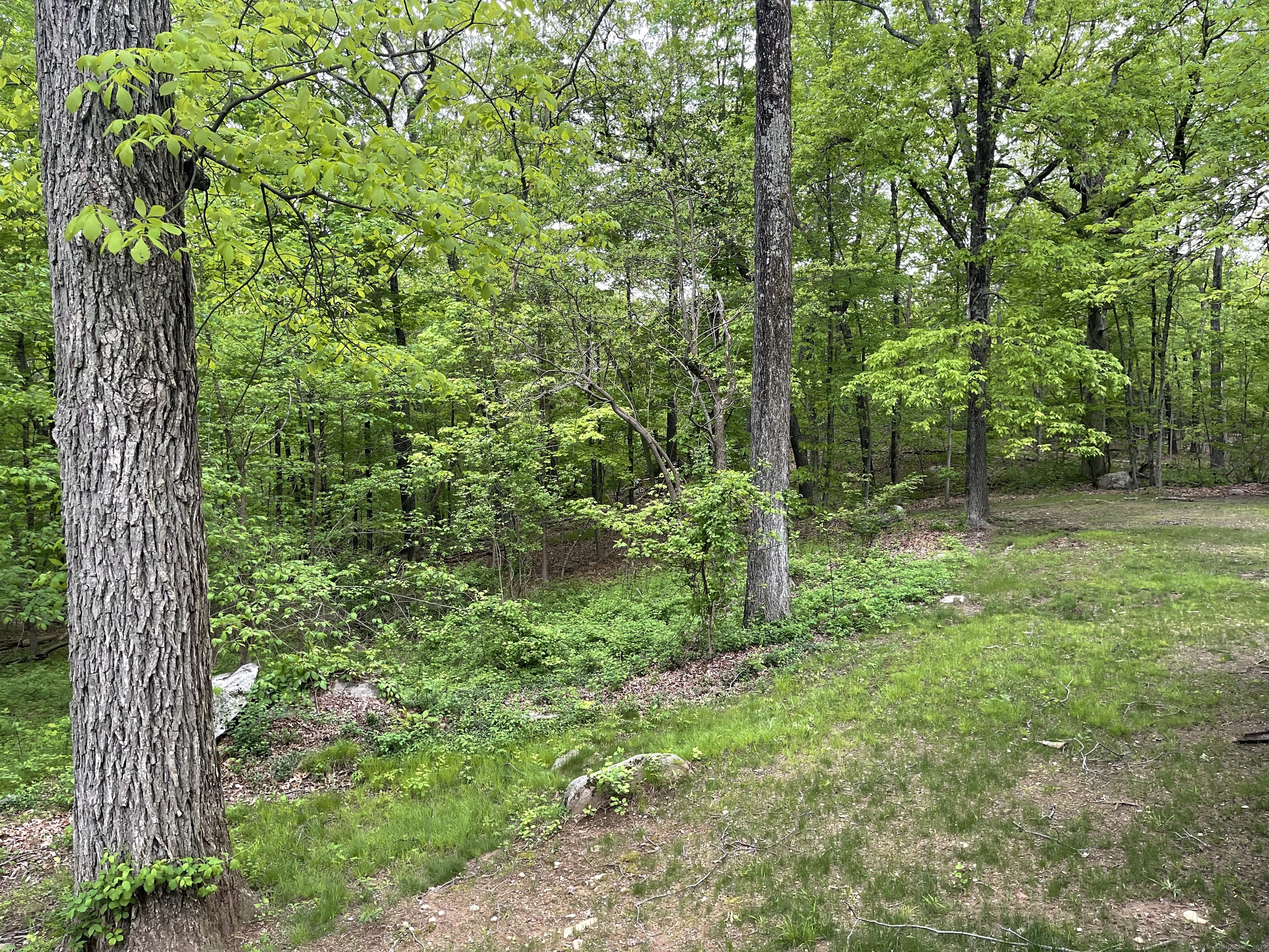 19 Kulas Terrace, Seymour, Connecticut image 30