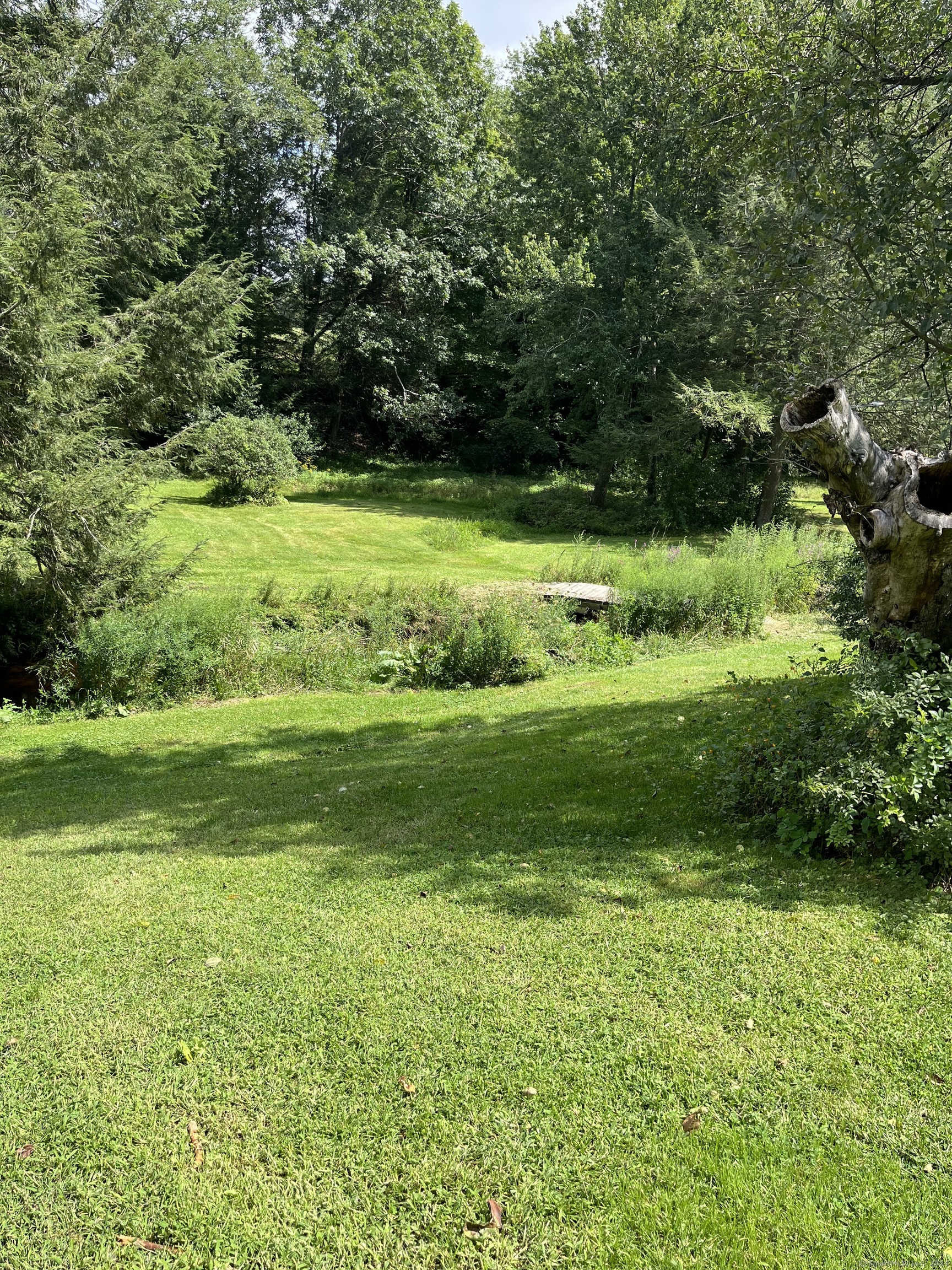 47 Devaux Road