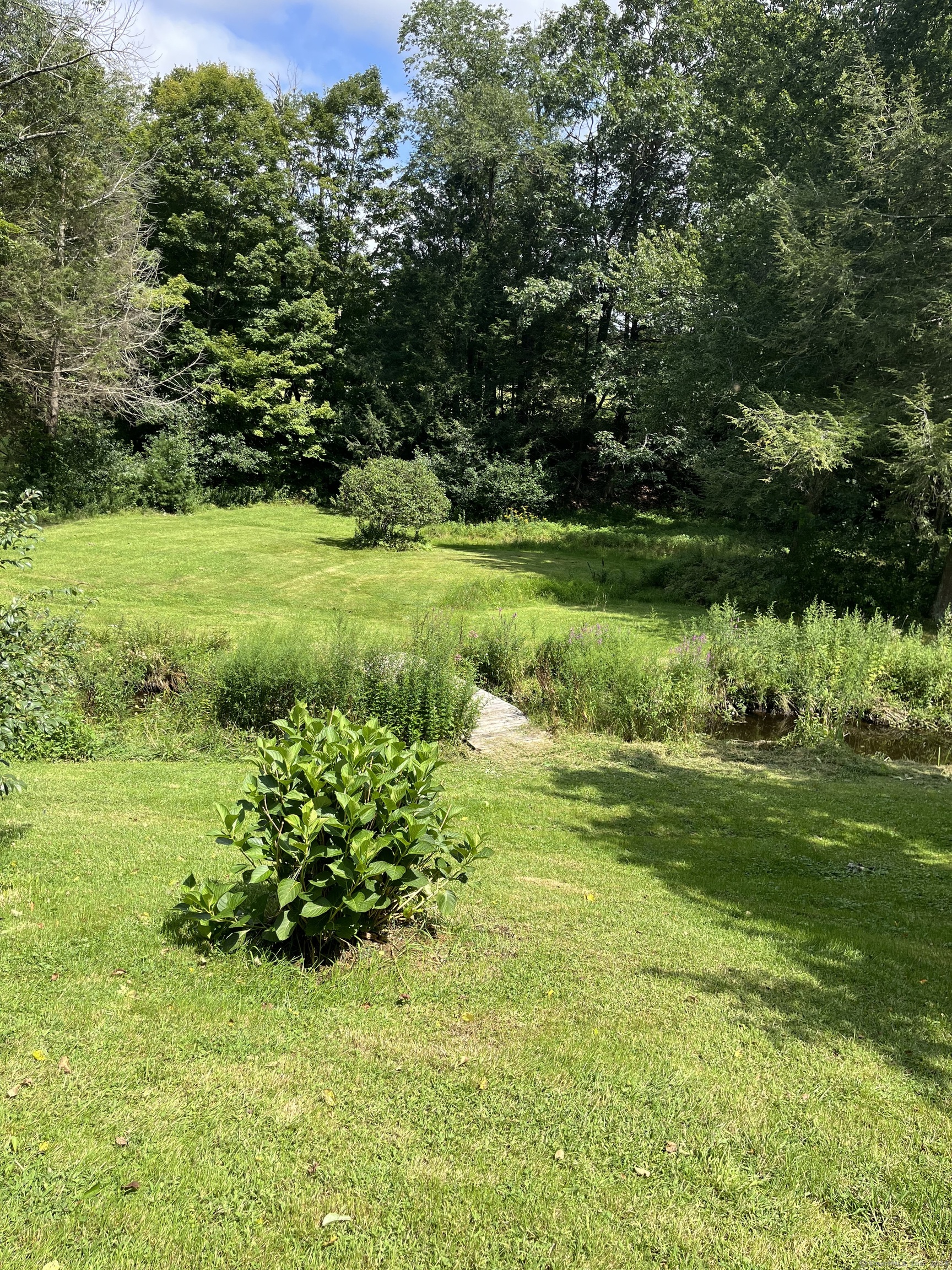 47 Devaux Road