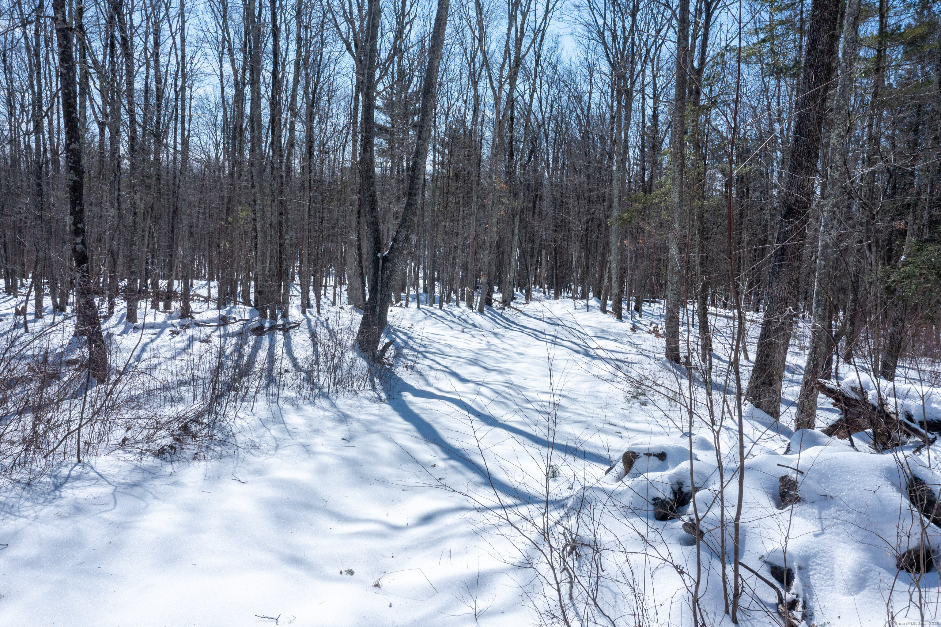 Lot 0 Kozey Road, Eastford, Connecticut image 15