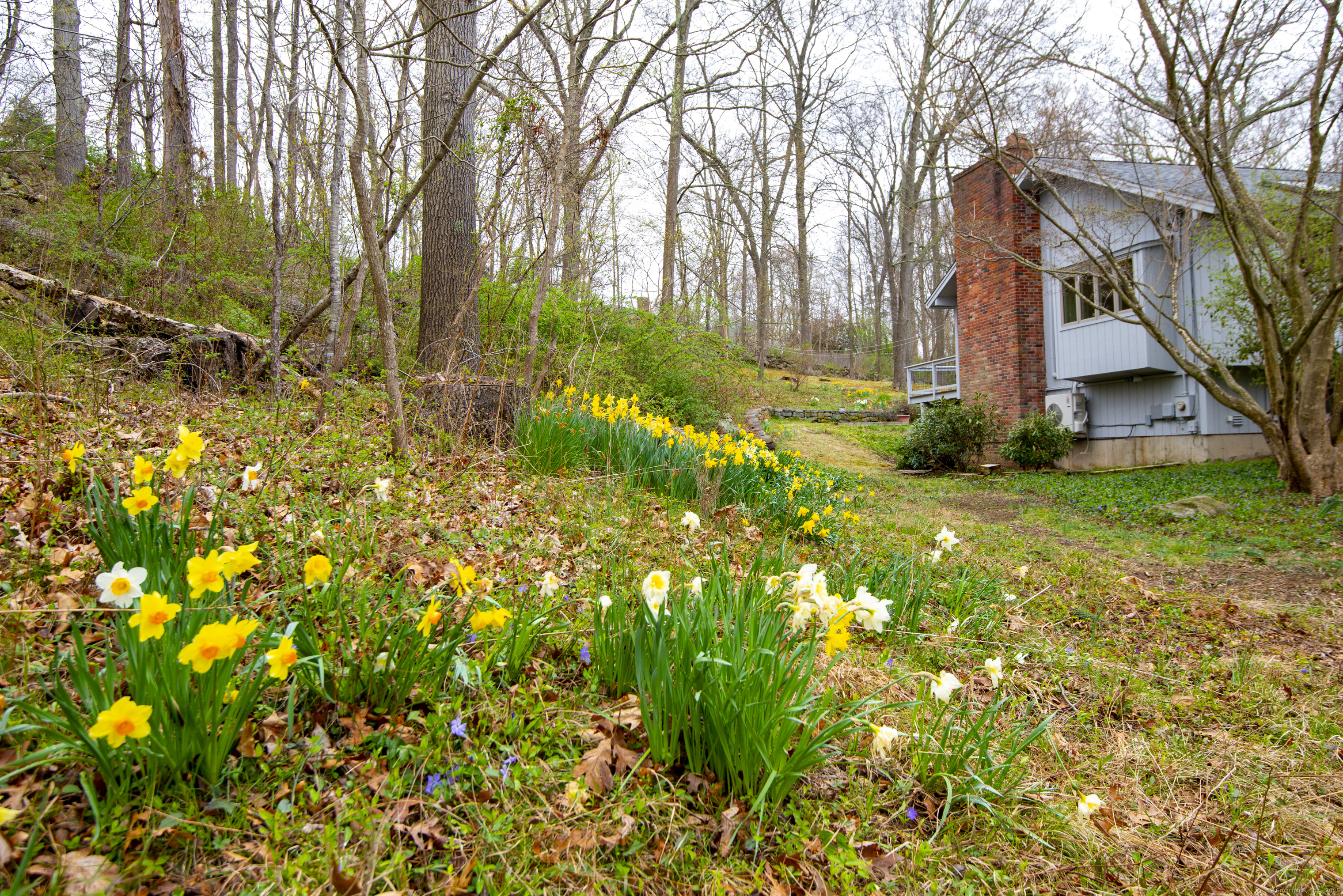 102 Colonial Road, Guilford, Connecticut image 35