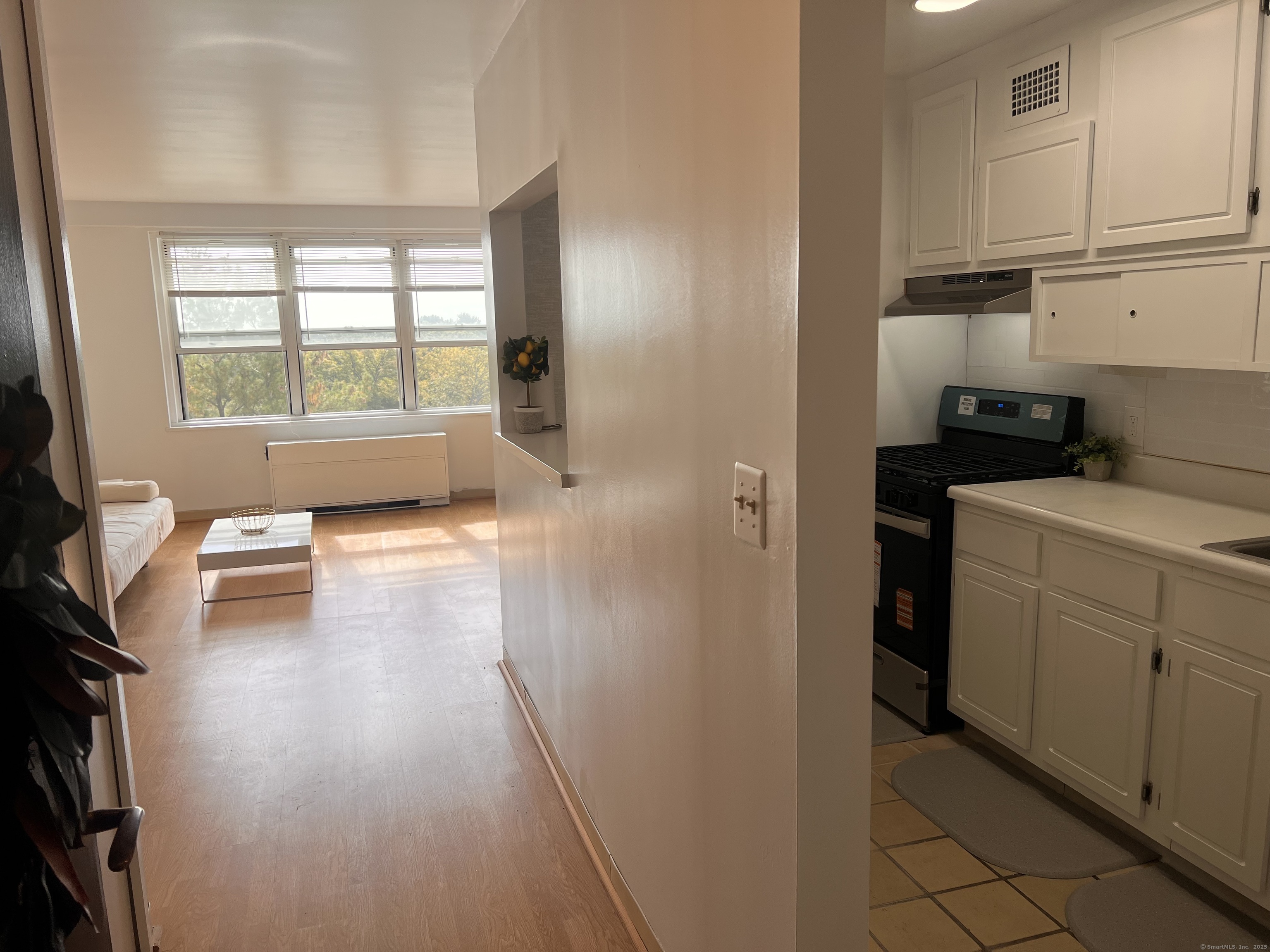 Bridgeport, Connecticut 06604, United States, 1 Bedroom Bedrooms, ,1 BathroomBathrooms,Residential,Pending,226687