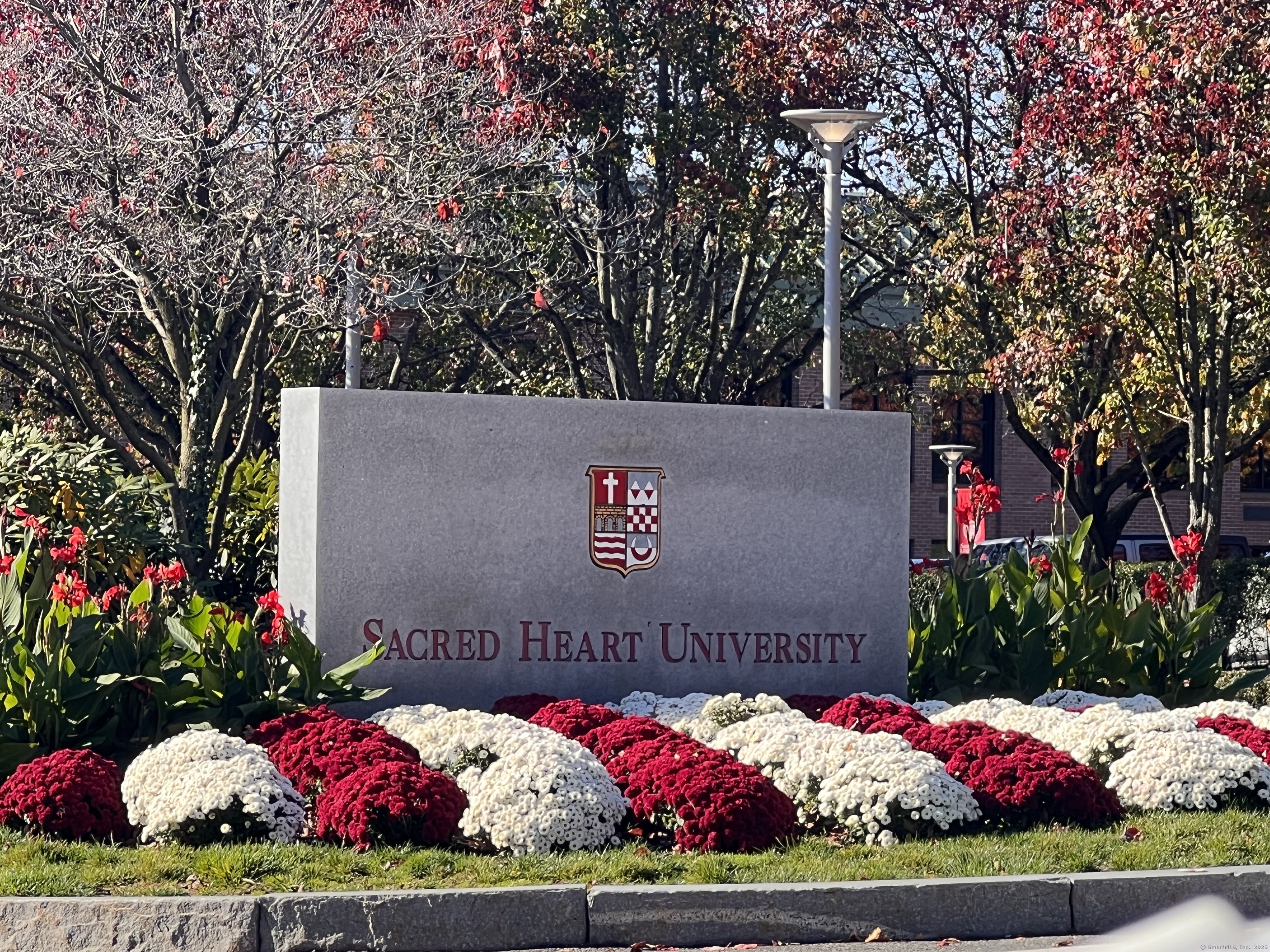 Bridgeport, Connecticut 06604, United States, 1 Bedroom Bedrooms, ,1 BathroomBathrooms,Residential,Pending,226687