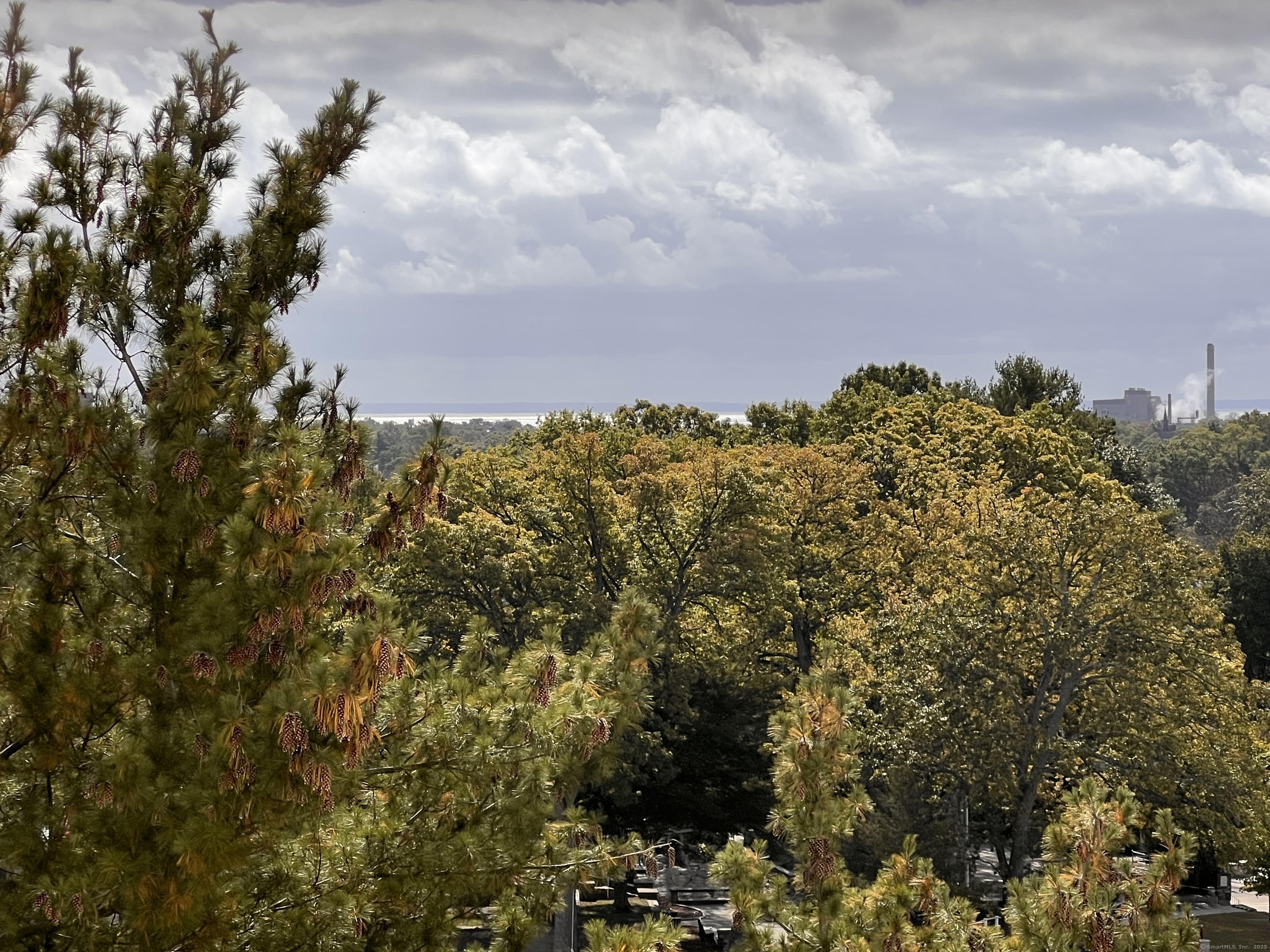 Bridgeport, Connecticut 06604, United States, 1 Bedroom Bedrooms, ,1 BathroomBathrooms,Residential,Pending,226687