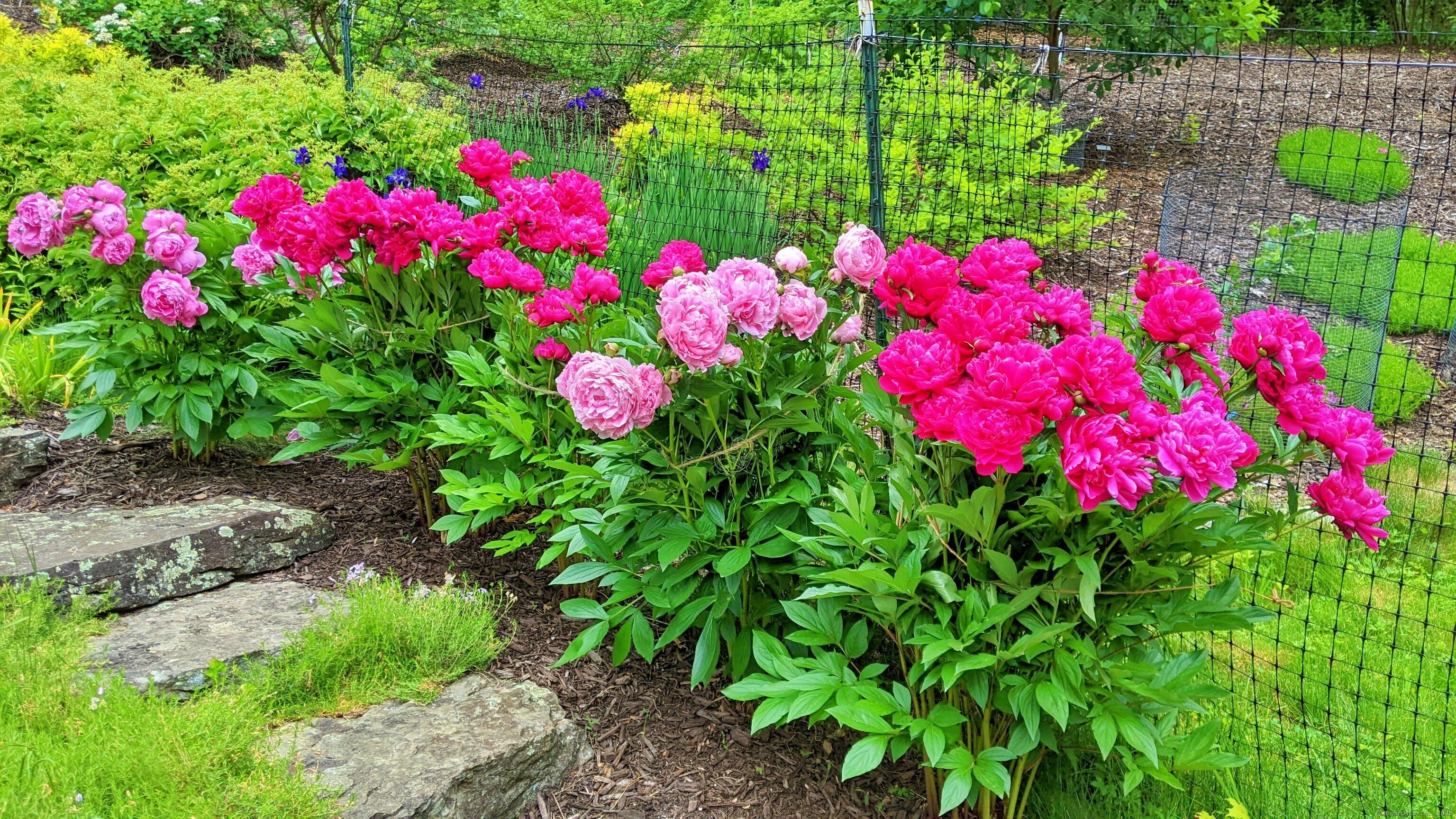 22 Gelding Hill Road, Newtown, Connecticut image 38