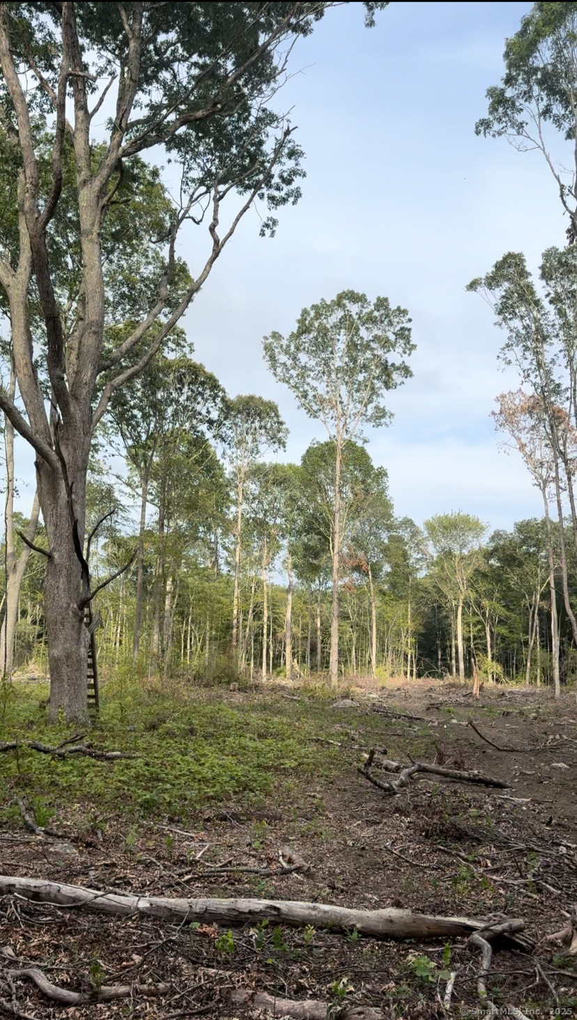 223 North Bride Brook Road