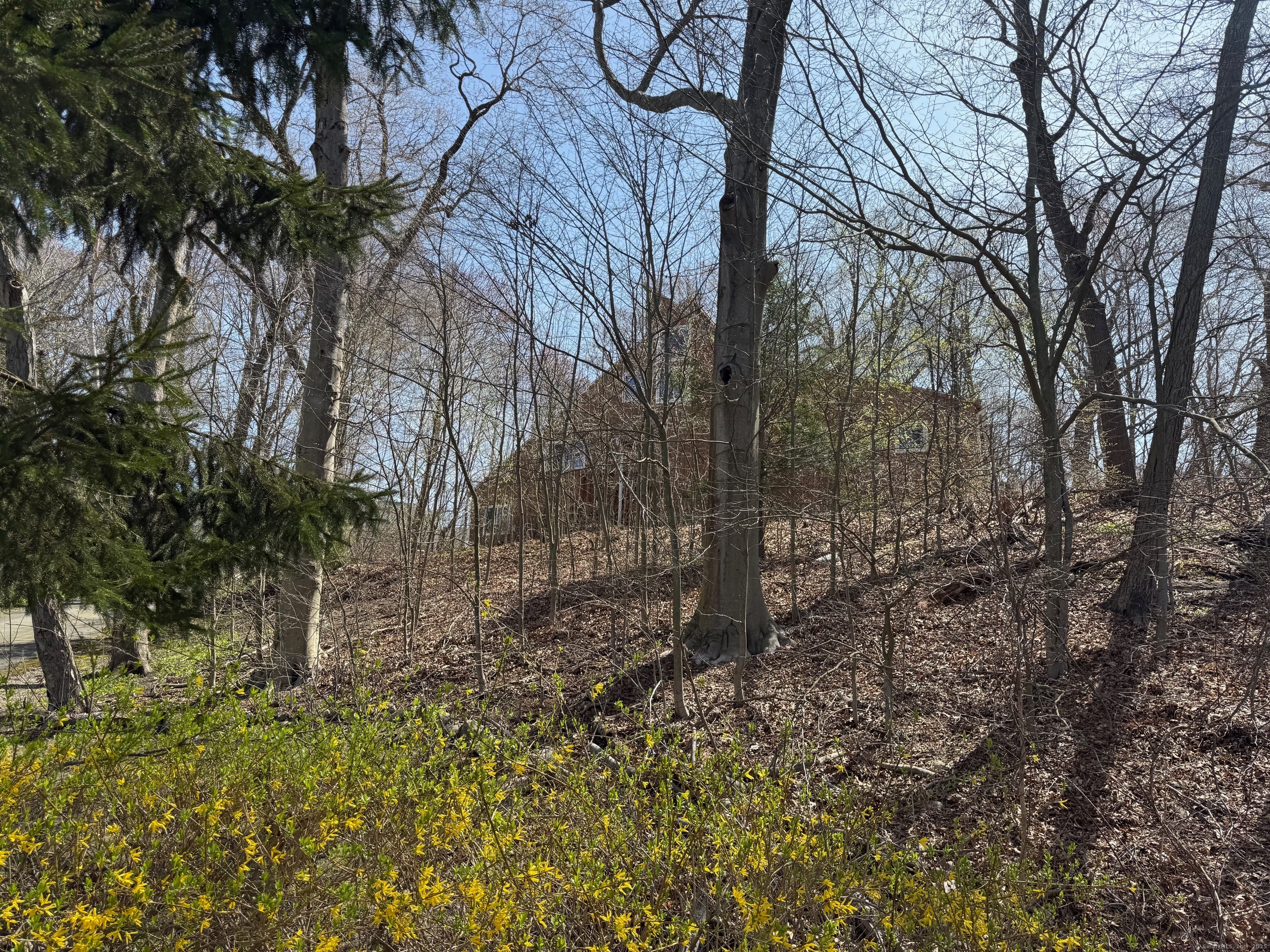 953 Rainbow Trail