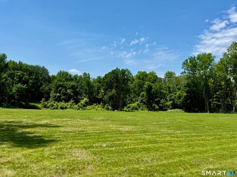 Tiny photo for 249 Wall Street, Hebron, CT 06248 (MLS # 24157969)