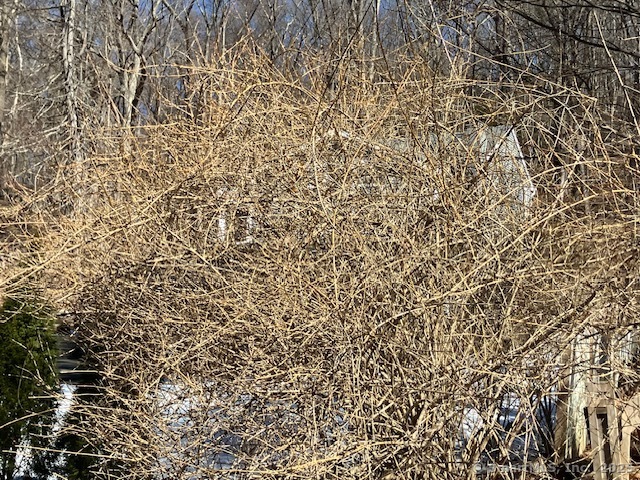 1 Parsons Drive, Waterbury, Connecticut image 1