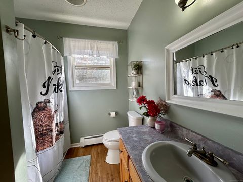 Tiny photo for 106A Pinney Street, Colebrook, CT 06021 (MLS # 24134478)