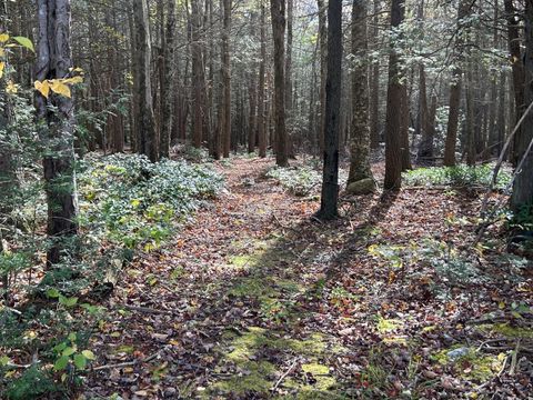 Tiny photo for 106A Pinney Street, Colebrook, CT 06021 (MLS # 24134478)
