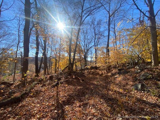 40 Decicco Road, Waterbury, Connecticut image 12