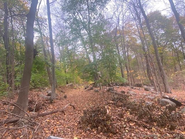 40 Decicco Road, Waterbury, Connecticut image 5