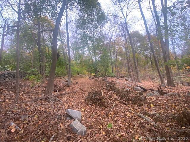 40 Decicco Road, Waterbury, Connecticut image 6