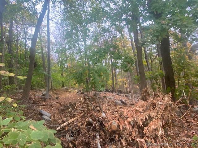40 Decicco Road, Waterbury, Connecticut image 2