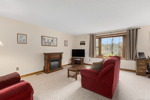 Tiny photo for 69 Perry Street #130, Putnam, CT 06260 (MLS # 24132322)