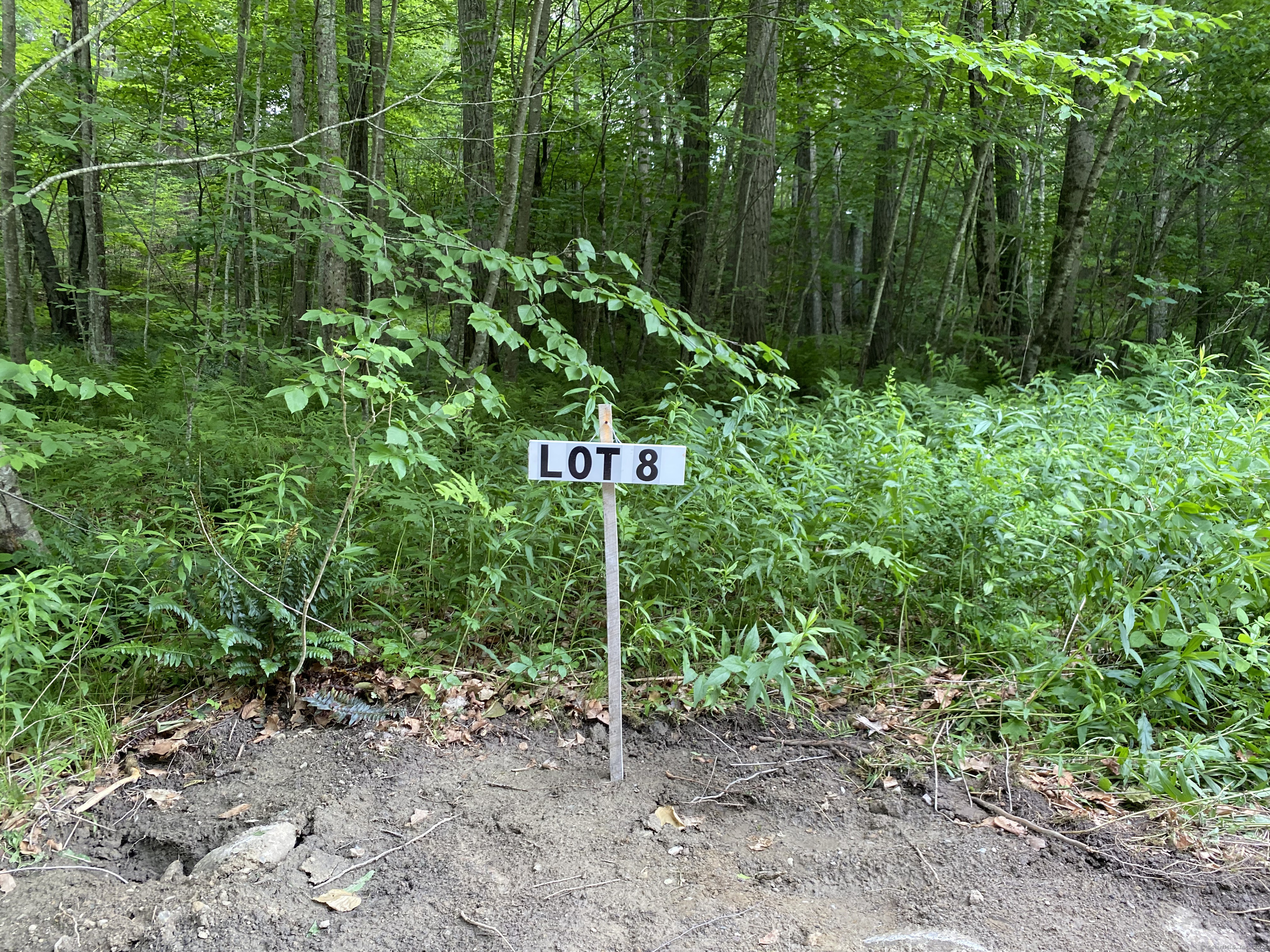 Lot 8 0 Silver Hill Road, Sharon, Connecticut image 6