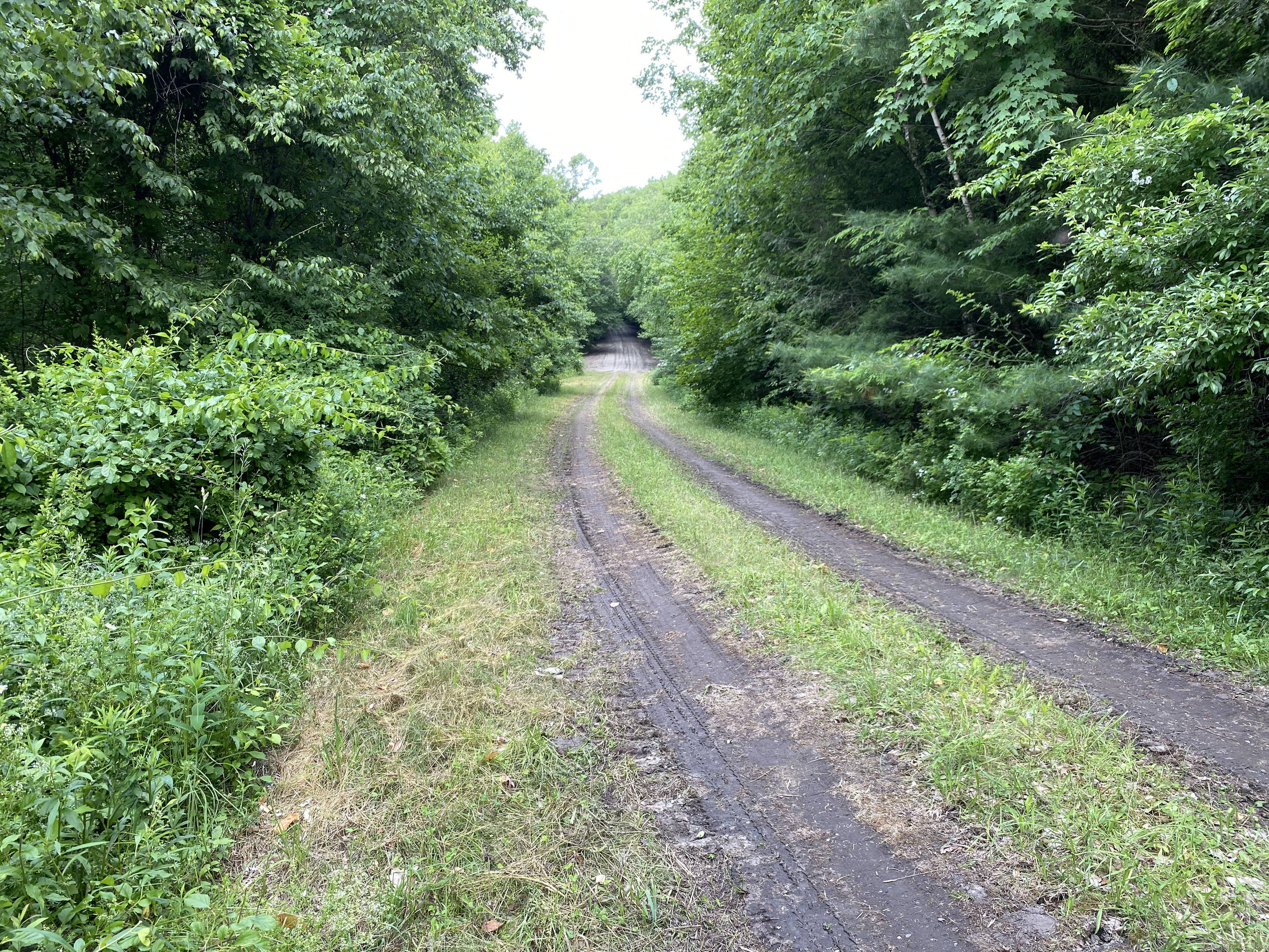 Lot 8 0 Silver Hill Road, Sharon, Connecticut image 2
