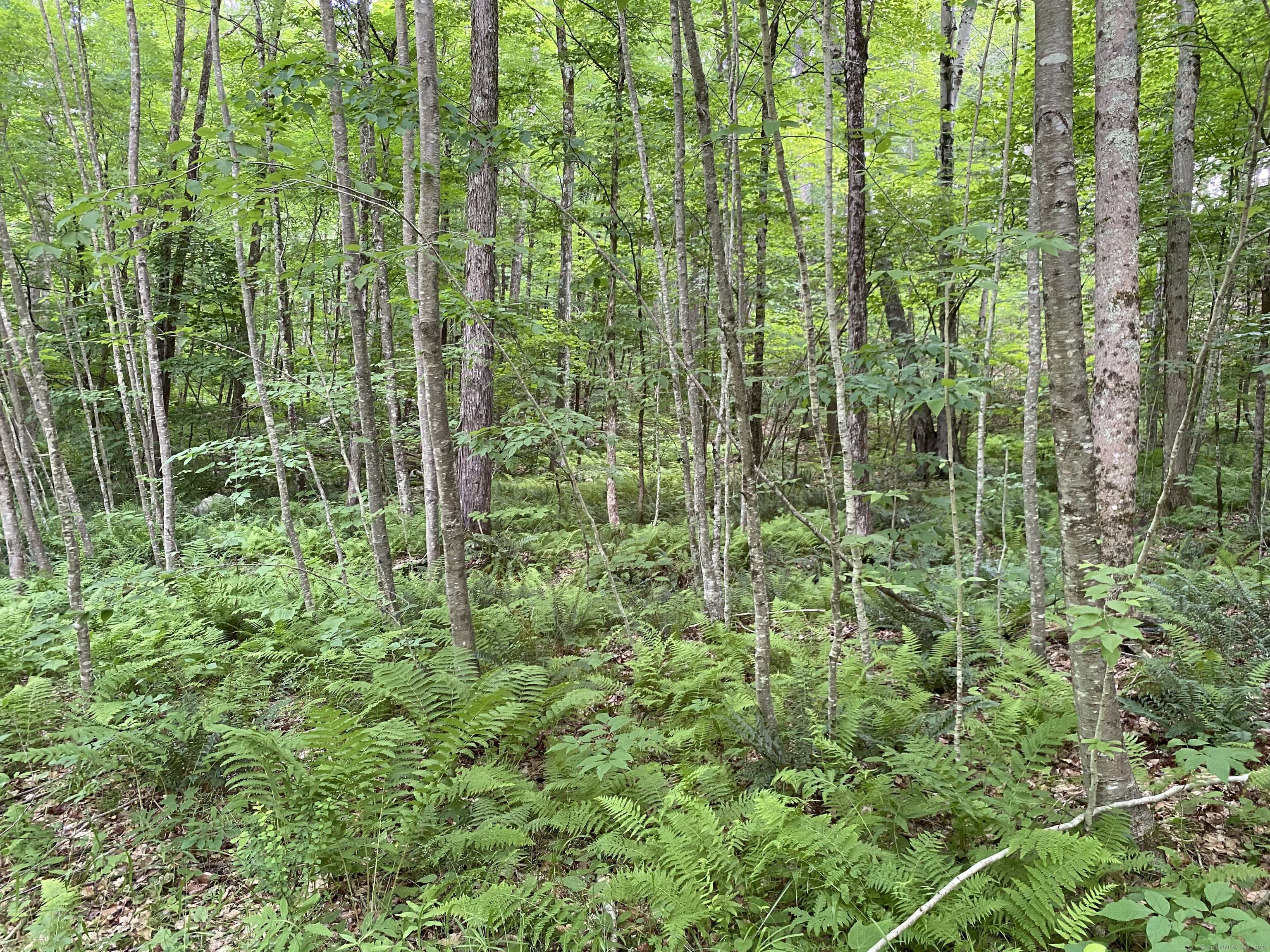 Lot 8 0 Silver Hill Road, Sharon, Connecticut image 5