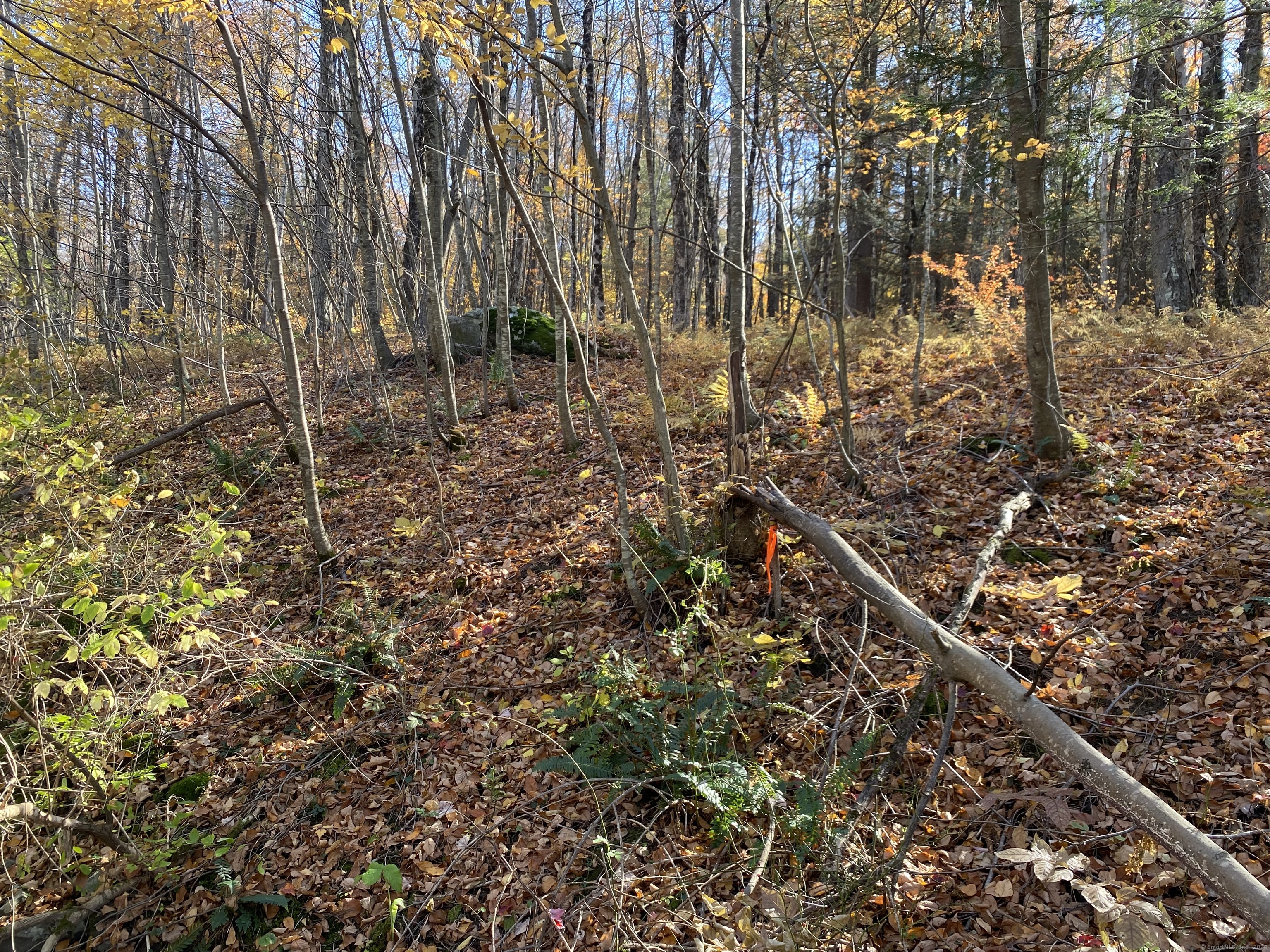 Lot 8 0 Silver Hill Road, Sharon, Connecticut image 3