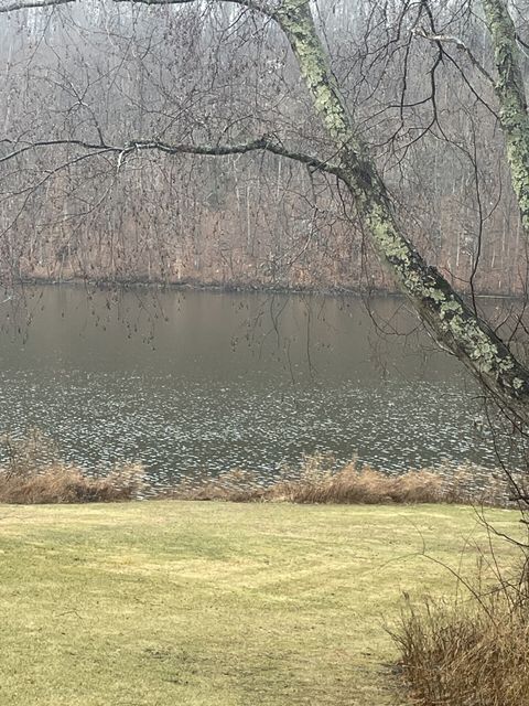listing image 26