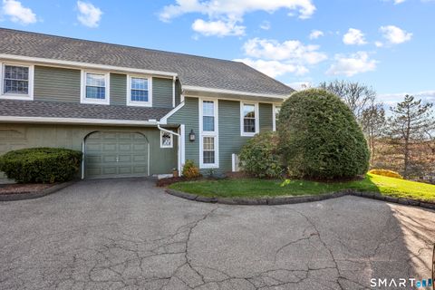 Photo of 58 S Mill Drive #58, Glastonbury, CT 06073 (MLS # 24162206)