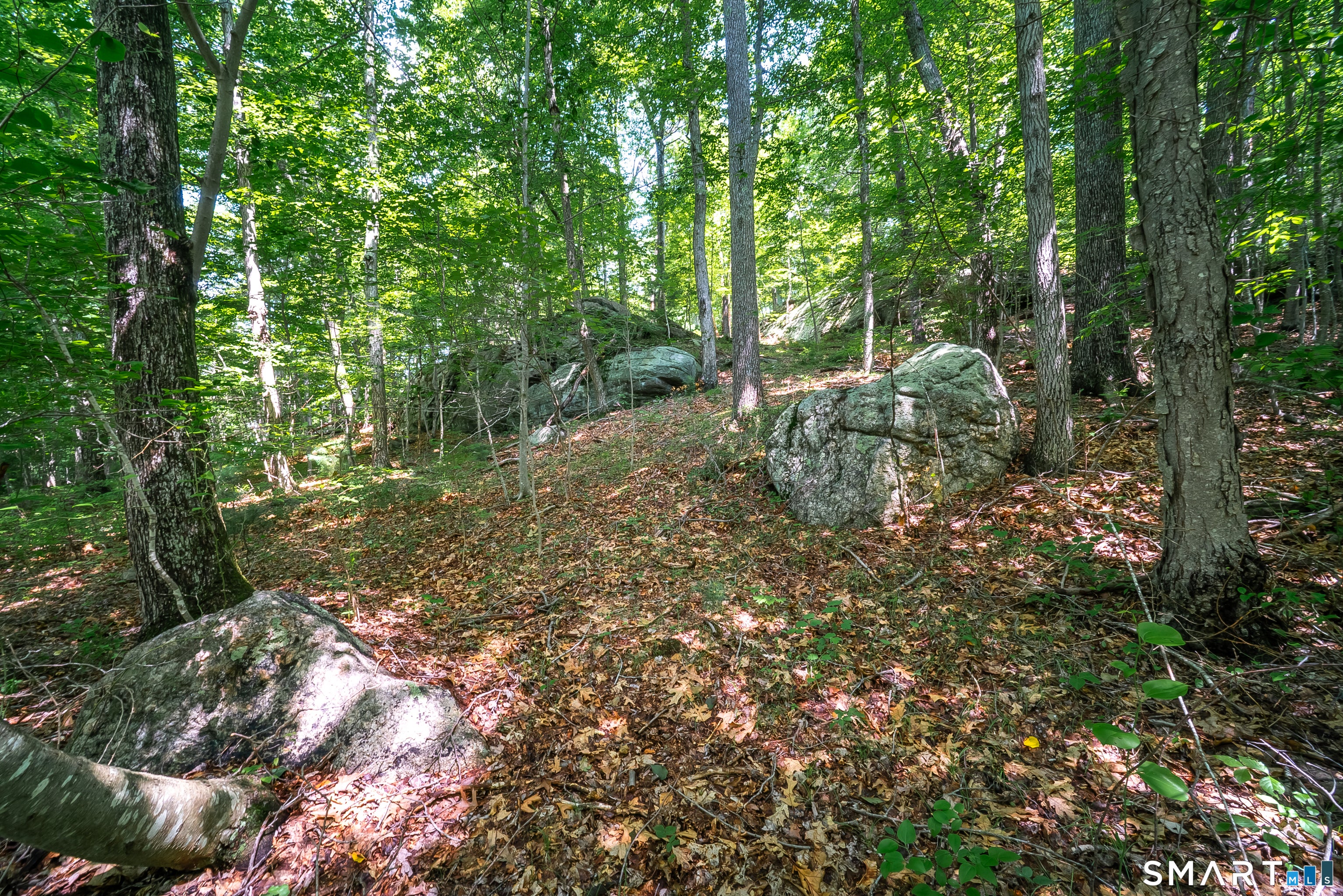 61 Silver Springs Drive