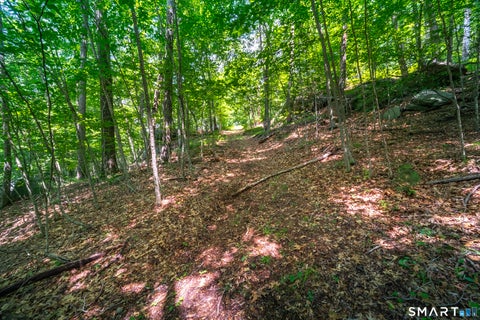Photo of 61 Silver Springs Drive, Haddam, CT 06441 (MLS # 24195781)