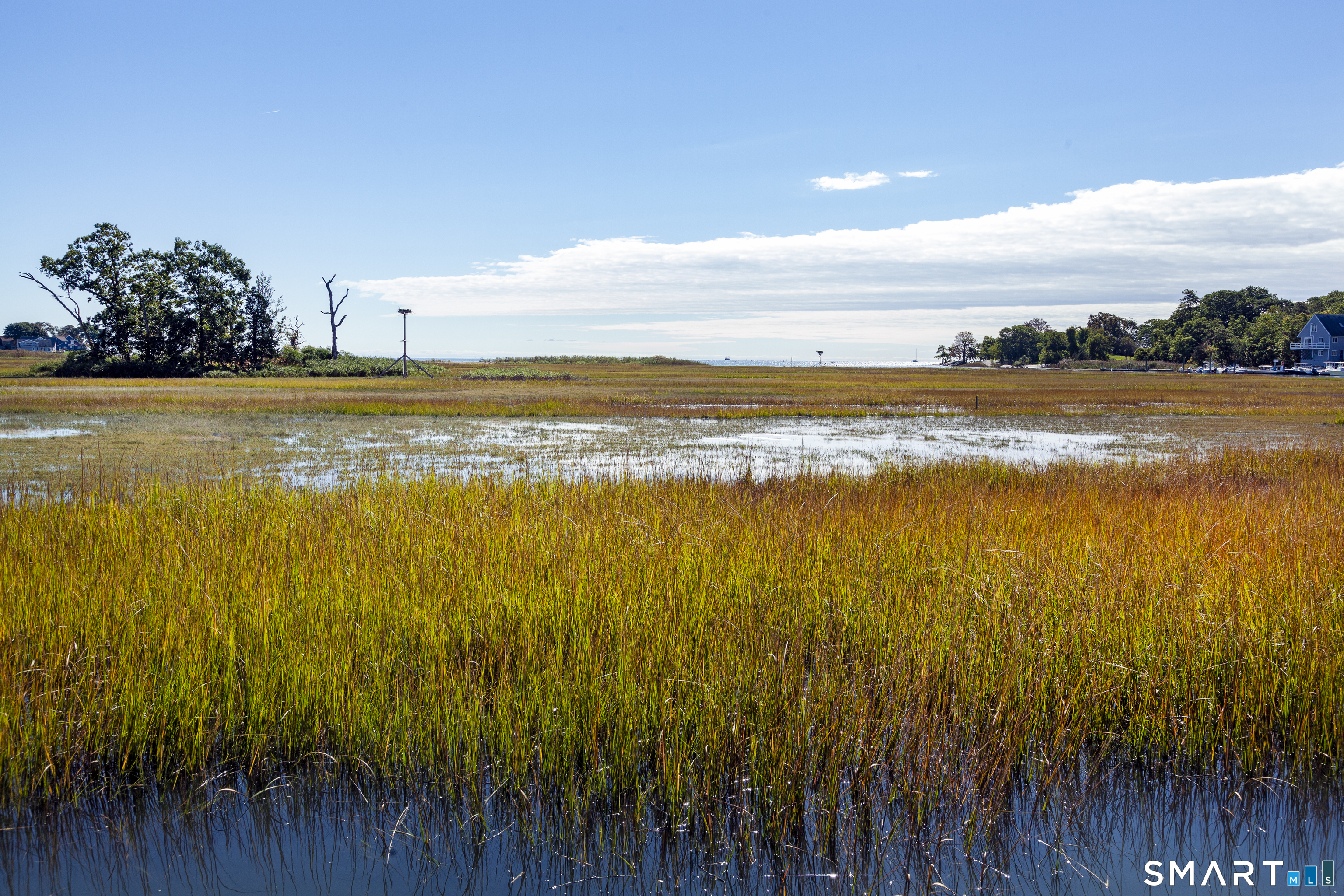 379 Whitfield Street AS2136