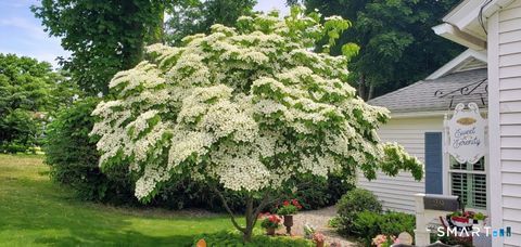 Tiny photo for 29 Warwick Street, Middletown, CT 06457 (MLS # 24169083)