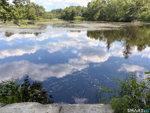 Tiny photo for Plainfield Pike, Sterling, CT 06373 (MLS # 24190726)