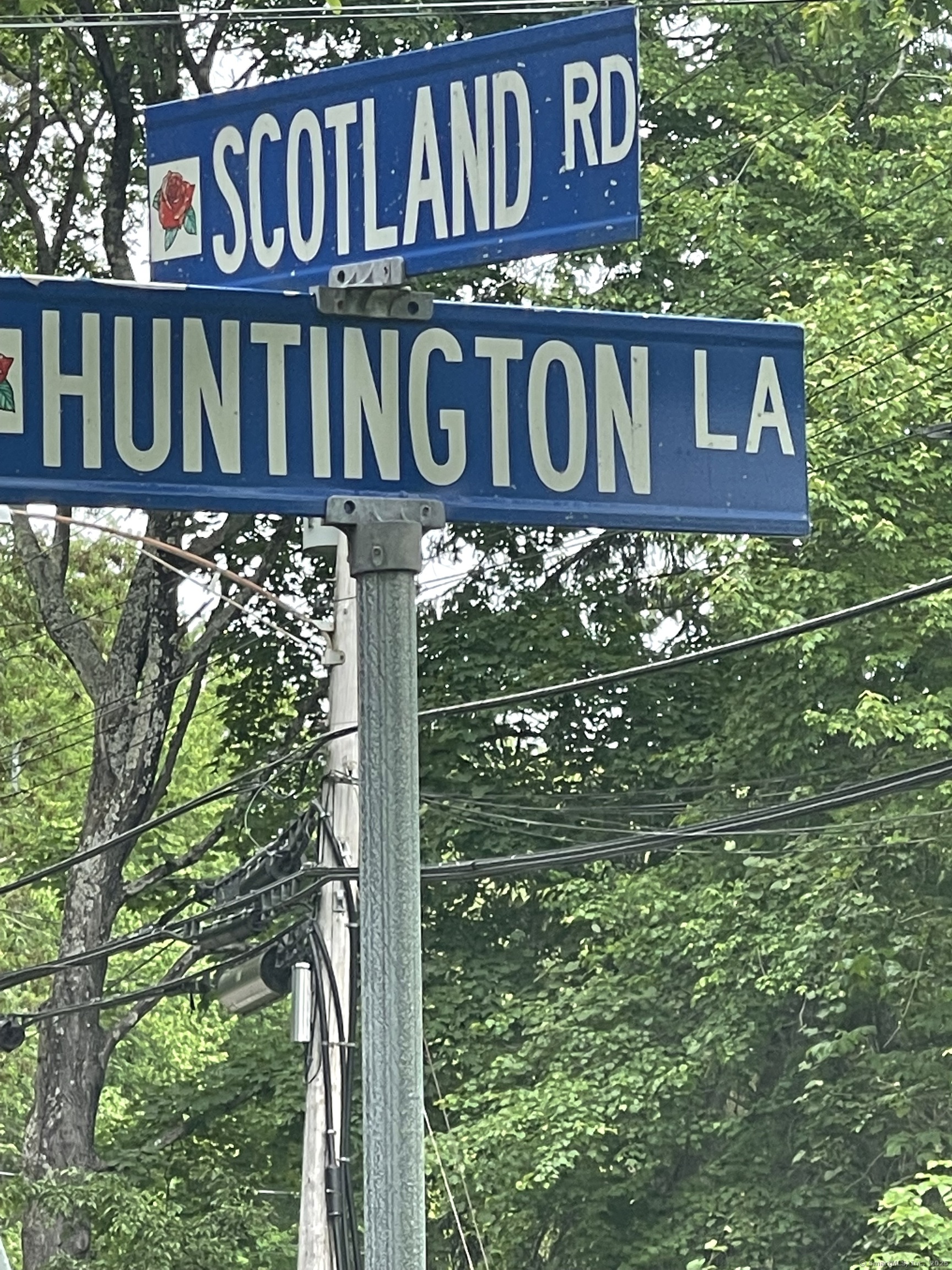 36 Scotland Road