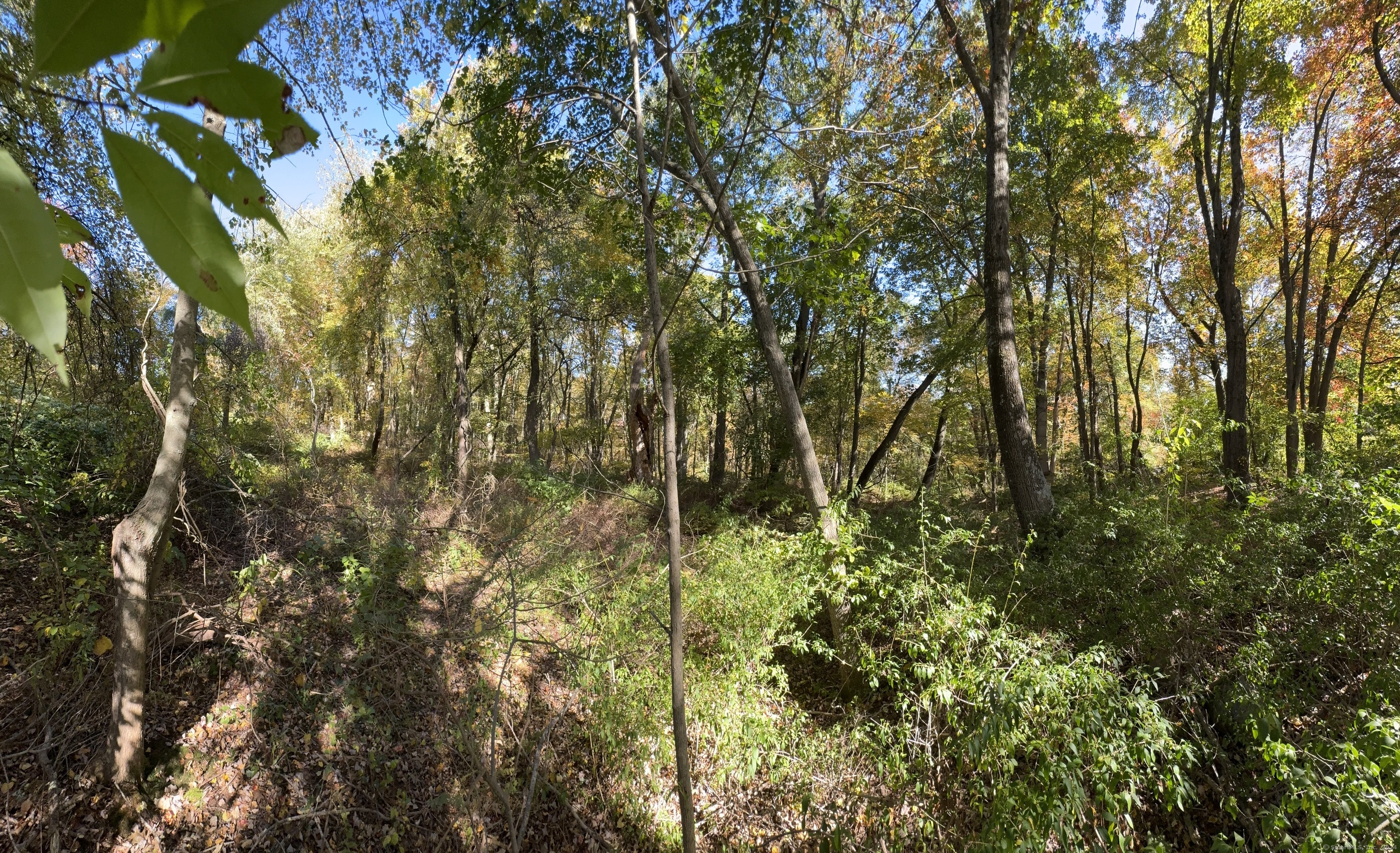 Old Colonial Road, Watertown, Connecticut image 8