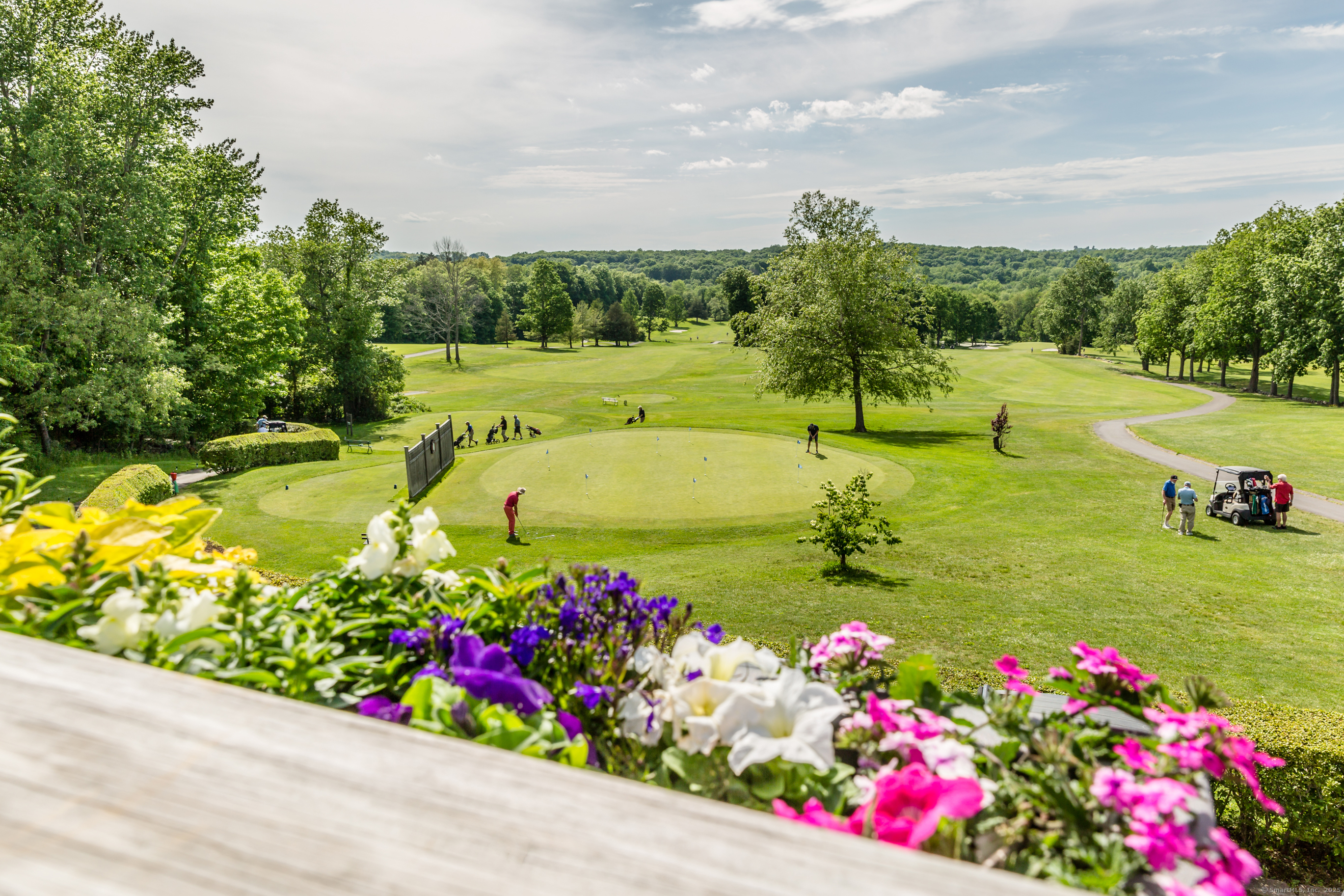 4 Sandlewood Lane #4, Ridgefield, Connecticut image 33